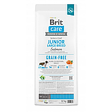 Сухий корм Brit Care Dog Grain-free Junior Large Breed для молодих собак великих порід беззернової з лососем 12 кг, фото 4
