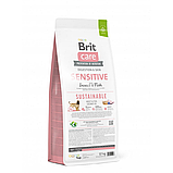 Сухий корм Brit Care Dog Sustainable Sensitive для собак з чутливим травленням з рибою та комахами 12 кг, фото 3