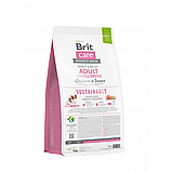 Сухий корм Brit Care Dog Sustainable Adult Small Breed для собак малих порід з куркою та комахами 7 кг, фото 3