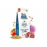 Сухий корм Brit Care Dog Hypoallergenic Adult Large Breed для собак великих порід гіпоалергенний з ягням 12 кг, фото 5