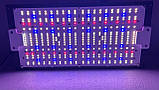 Led фітосвітильник Quantum Board Samsung LM301H EVO 150 Вт + VEGA/BLOOM, фото 2