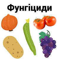 Фунгіциди — засоби від хвороб рослин