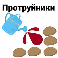 Протруйники — захист перед посівом