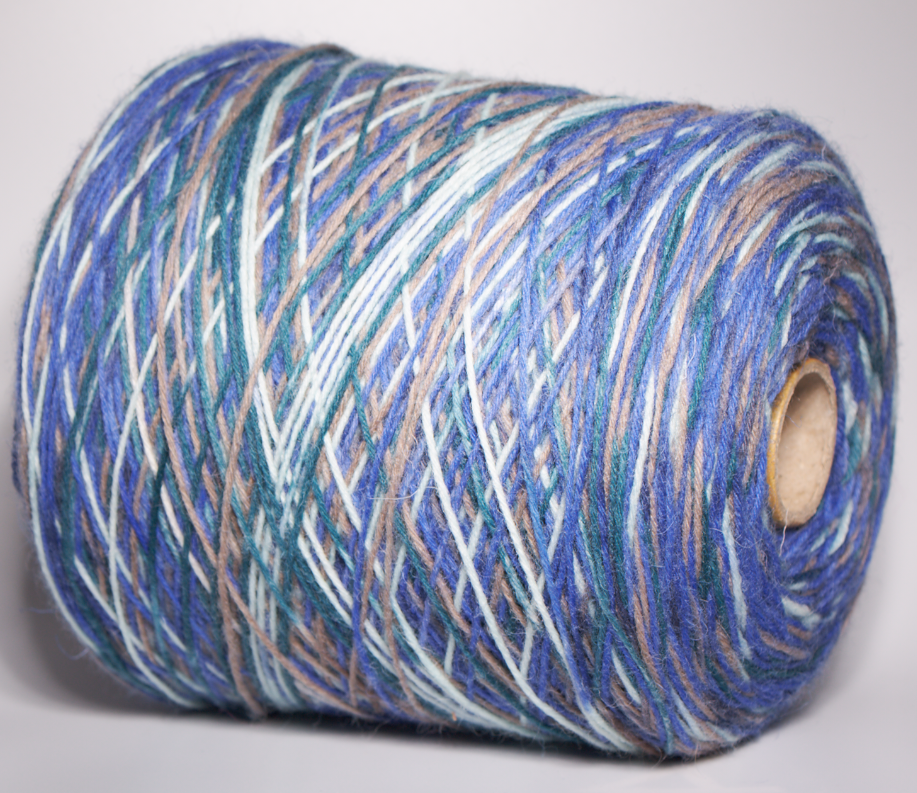 Шкарпеткова пряжа Ecafil  №316(250м)