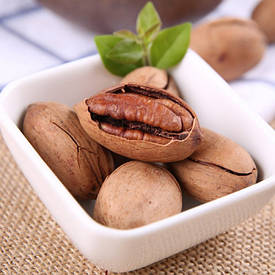 Горіх Пекан "Barton" 4-річний саджанець