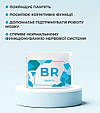 "BR" (Брейн-О-Флекс) — для мозку та пам'яті (Brain-o-Flex), фото 6