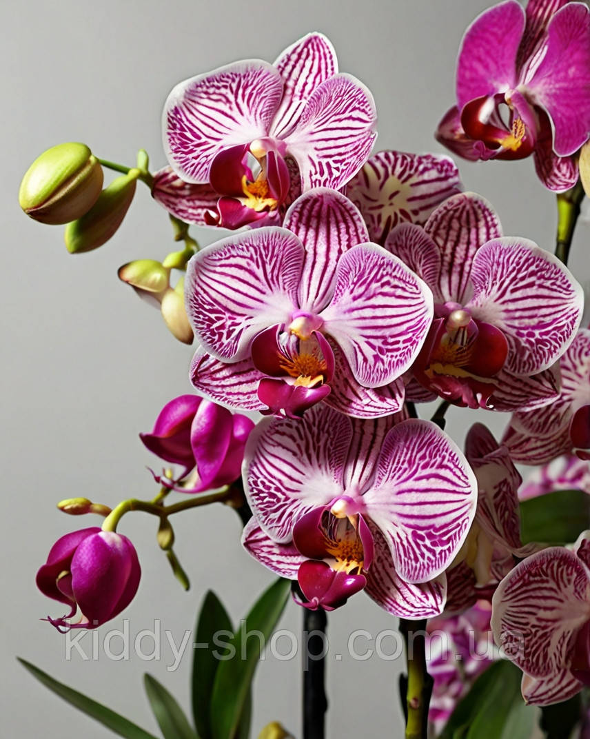 Діамантова вишивка. Картина на підрамнику "Дикі орхідеї", 40х50см, квадратні стрази, фото 1