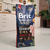 Сухий корм Brit Premium Dog Adult L для дорослих собак великих порід з куркою 15 кг, фото 5