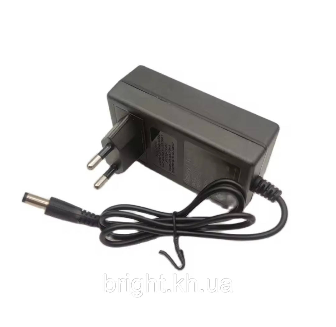Зарядний пристрій для Li-ion акумуляторів 21 В 1 A, 5S -18 V, штекер 5.5х2.5 мм, BOX