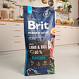 Сухий корм Brit Premium Dog Sensitive Lamb для собак з чутливим травленням з ягням 15 кг, фото 6