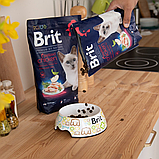 Сухий корм Brit Premium Cat by Nature Sterilised для стерилізованих котів з куркою 8 кг, фото 8