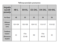 Цілисний купальник з сіткою Fuba 2105 чорний 48 50 52 54 56 розмір, фото 3