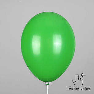 GEMAR-ДЖ 12" G110 012 Пастель Зелений | Standard Green, фото 2