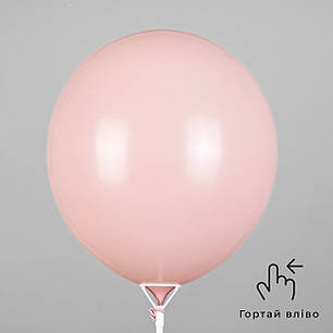 GEMAR-ДЖ 19" G19 100 Пастель Мушля | Standard Shell (Без смуг), фото 2