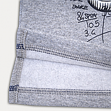 Дитячий джемпер світшот для хлопчика з начосом з принтом 92 зріст (2 роки), фото 3