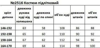 Спортивний костюм для хлопчика двунитка 2516 | на зріст 146 по 170, фото 5