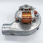 Вентилятор Immergas Eolo Major Zeus Major 1.018778 3.020682 1.012307, фото 3