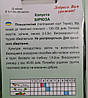 Капуста пізня Бірюза 1г, фото 11