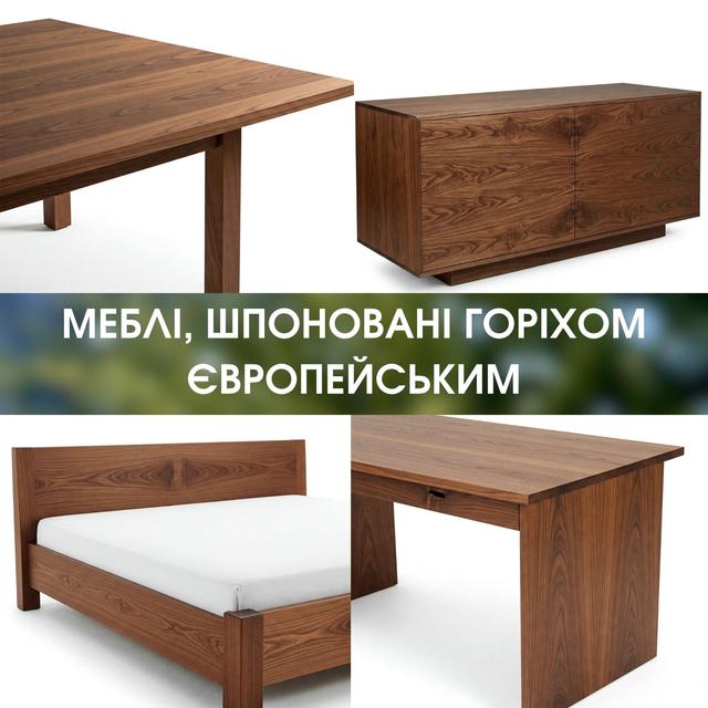 Де використовувати струганий шпон з горіха європейського Струганий шпон Європейський купити ціна