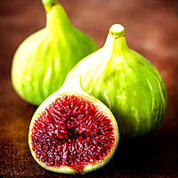 Інжир Кадота 2-х річний