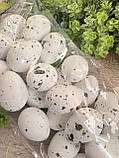 Набір яєць пінопластових для декору, h 3,5 см, 24 шт\уп, фото 8