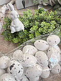 Набір яєць пінопластових для декору, h 3,5 см, 24 шт\уп, фото 7