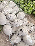 Набір яєць пінопластових для декору, h 3,5 см, 24 шт\уп, фото 6