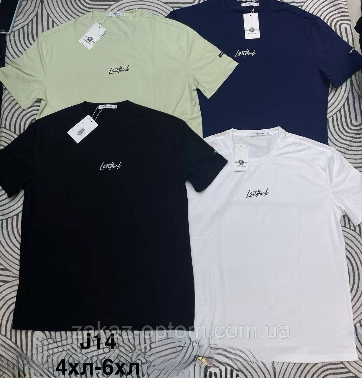 Футболка чоловіча батал оптом (4XL-6XL) Китай J14-132823