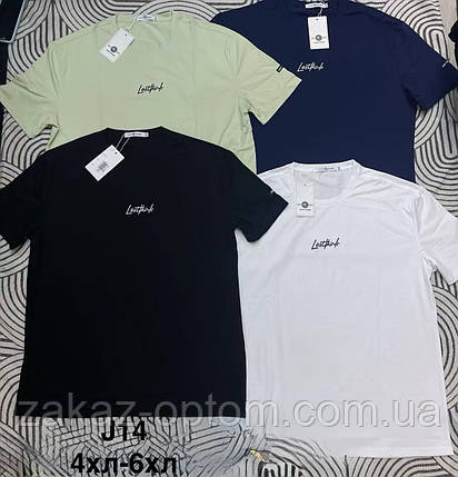 Футболка чоловіча батал оптом (4XL-6XL) Китай J14-132823, фото 1