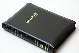 Укр. Біблія малого формату Огієнко (чорна, шкірзам, блискавка, золото, без вказівників, 14х19)