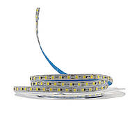 Світлодіодна LED стрічка PROLUM™ 24V; IP20; 2835\120; 6ММ; 50M; S-TYPE; Series "S", Білий (5500-6000К)