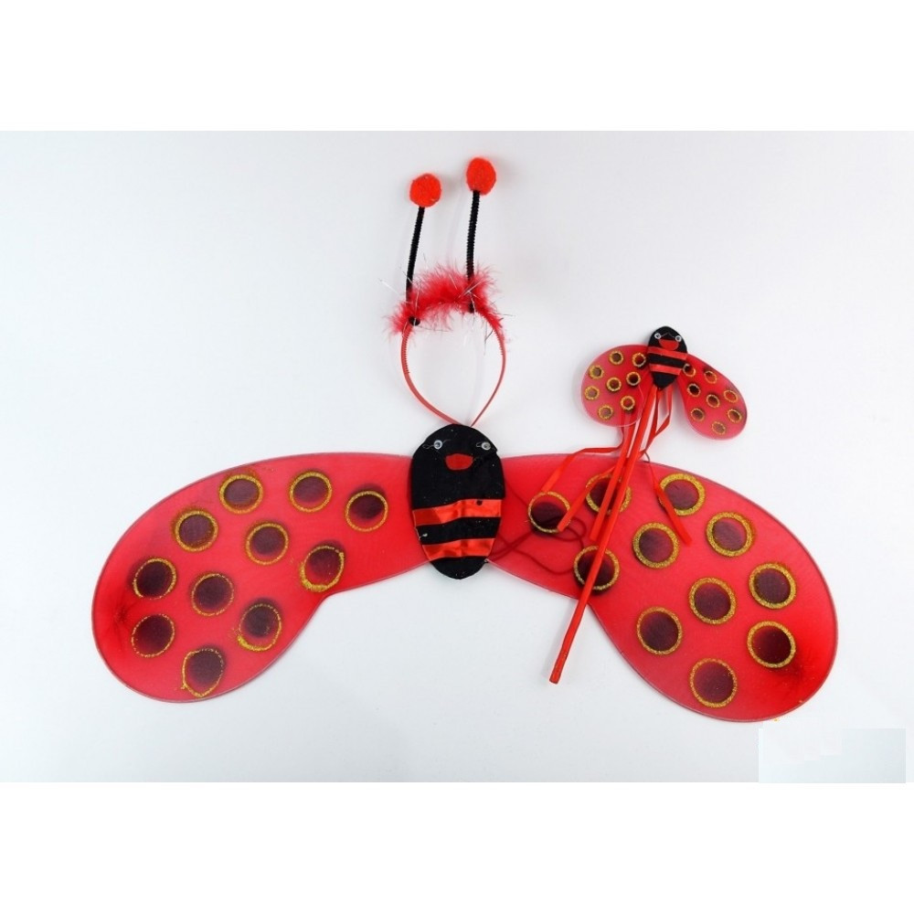 Набір карнавальні крила Сонечка, 45х35 см