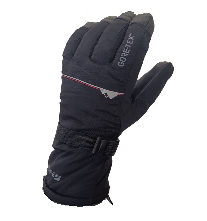 Рукавиці чоловічі Trekmates Matterhorn GTX Glove GLV-M10899 black