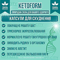 Капсулси для схуднення 40 капсул КетоФорм для кетогенної дієти KetoForm з потужним жироспалюючим ефектом, фото 3