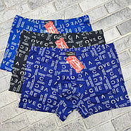 Труси боксери чоловічі ростовка р. XL, 2 XL, 3 XL, 4 XL бавовна + бамбук VEENICE 30039346, фото 3