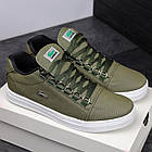 Кросівки чоловічі Lacoste хакі шкіряні Кеди Лакост весняні літні, фото 2