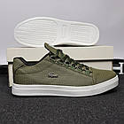 Кросівки чоловічі Lacoste хакі шкіряні Кеди Лакост весняні літні, фото 4