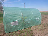 Теплиця для городу з вікнами готова 6м2 3х2 м Збірна теплиця на дачу для дому Садовий парник, фото 9