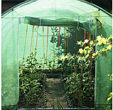 Теплиця для городу з вікнами готова 6м2 3х2 м Збірна теплиця на дачу для дому Садовий парник, фото 7