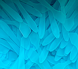 Скребок шкребок лопатка для термопасти, фото 4