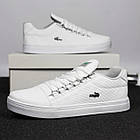 Кросівки чоловічі Lacoste білі шкіряні Кеди Лакост весняні літні, фото 2