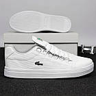 Кросівки чоловічі Lacoste білі шкіряні Кеди Лакост весняні літні, фото 3