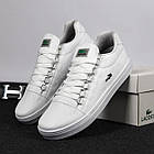 Кросівки чоловічі Lacoste білі шкіряні Кеди Лакост весняні літні, фото 4