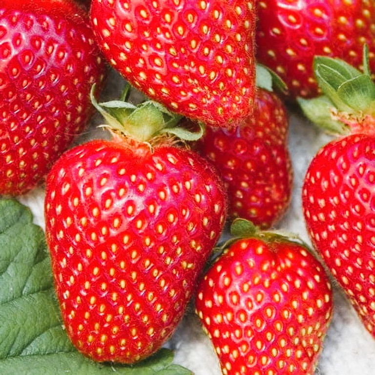 Полуниця Міце Шіндлер, фото 1