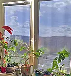 Сонцезахисна плівка (без скотчу) Ecoseries 100х200 см 15-20 мкм (ES_100200Y), фото 6