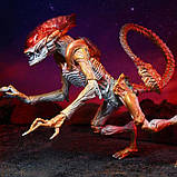 Чужий Пума і Пантера (Aliens Panther) neca, фото 11