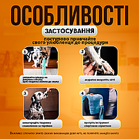 Гриндер електричний точилка для стрижки кігтів собак кішок автоматична портативна з акумулятором, фото 7