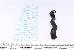 Патрубок радіатора MERCEDES-BENZ C-CLASS (W203)