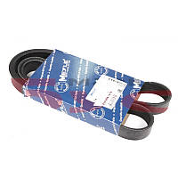 Ремень генератора Fiat Ducato 2.2D/Ford Transit 2.2TDCI 06- (+AC) (6PK1670)