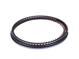 Кільця 65,00 мм STD TT AGRO MOTO на бензиновий двигун P65F